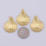 Clam shell sea shell Charm 18K Gold PVD charms - Tarnish Resistant LLL
