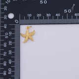 Star Fish starfish Charm 18K Gold PVD charms - Tarnish Resistant LLL