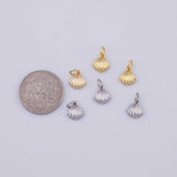 Sea shell Charm 18K Gold PVD charms - Tarnish Resistant LLL