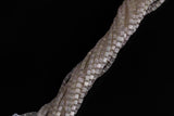 Cats Eye- Selenite Quartz- High Quality in Smooth Barrel 4x6mm- Full Strand 15.5 inches Long- Light Kunzite