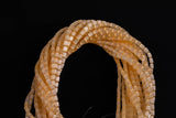 Cats Eye- Selenite Quartz- High Quality in Smooth Barrel 4x6mm- Full Strand 15.5 inches Long- Light Champagne