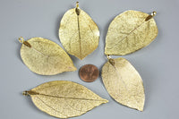 18kt Gold Plated Real Leaf