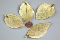 18kt Gold Plated Real Leaf