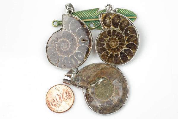 Fossilized Sliced Ammonite with White Gold bezels- 30mm