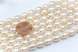 7*8mm Potatoe Nugget Pearl A Quality Round Freshwater Pearl