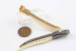 Bone Feather Wrapped in CZ Pave Large Size High Quality! 65mm