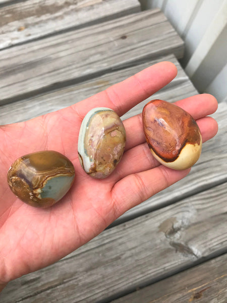 1 Pc Artistic Jasper Palm Stone- Assorted Size