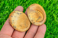 1 Pc Natural Picture Jasper Worry Stone- 35x45mm