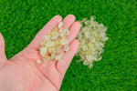 2 pcs Natural Lemon Citrine Small Tumbled Stone- 1/2 inch