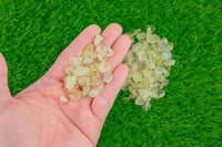 2 pcs Natural Lemon Citrine Small Tumbled Stone- 1/2 inch