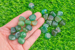 1 pc Natural Green Carnelian Medium Tumbled Stone- .5 inch-1.25 inch