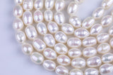 10*15mm  Potato Nugget Pearl A Quality Round Freshwater Pearl