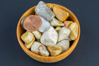 Natural Fossil Coral Tumbled Nuggets- 100 grams-3.5 ounces - 1/4 inch-3/4 inch Size- Roughly 70pcs per bag