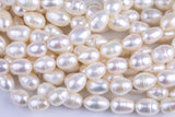 10*15mm  Potato Nugget Pearl A Quality Round Freshwater Pearl