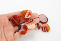 Carnelian Small Flat Disk Pieces Healing Stones about 1" across Pre-charged