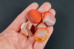 Carnelian Small Flat Disk Pieces Healing Stones about 1" across Pre-charged