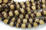 Natural Bodhi Seed Drum Full Strand- 15.5 Inch long Gemstone Beads- 10x13mm