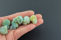 1 Pc Natural Amazonite Skull Skulls ~1" - Self Standing - Not Drilled