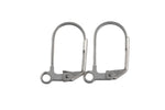Stainless Steel Lever Back- 10x17mm